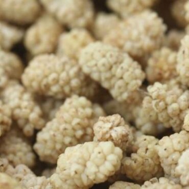 Dried Mulberries d